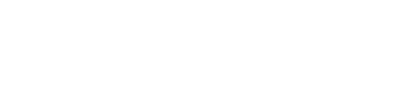 nattuchanda full logo light